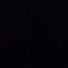 vahid_0588