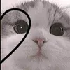 neepxnthe_24