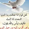 user8252370355567