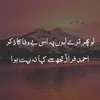 basit.saaqi