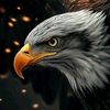 abdullahimuhamm5387