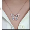 m_butterfly80