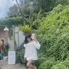 nthuy276