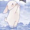 bunnichris
