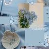 aboubacartoure261