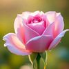 md.siyam.hossen.33