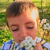 andrew_spatz