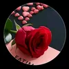 dtdk779i