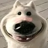 adu_eiu52