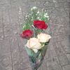 the_time_ayaa