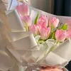 anhzyshinnytnt1_09
