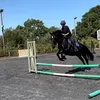 lorelai.equinee