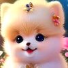 yusuff0949