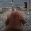 user81110488602900