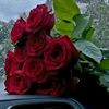 papatya_022