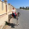 moemen_elbarwa_1