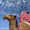،
