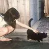 cciwoh