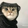 habon.hasan69