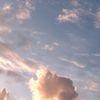 gavriel0802