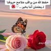 user57084507618412