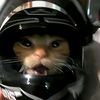 caaaaaaaaaaaa_86