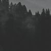 yadhisac7