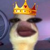vinn_who