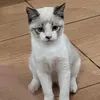 yhnzxs