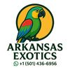 ARKANSAS EXOTICS 🦜