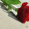 asmh_456