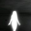 zxjlf8