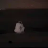 muslim.ah4