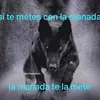 muxosueno.zz