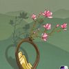 rahatali06777