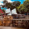 theme.park.tops