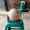 muhamad.nurfahmi
