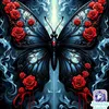 emmagine710203