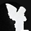 too_3xclusive