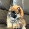 milodavis52