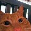 elpanywazzaaa