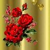 user435078279