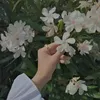 yasmin.4445