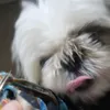 bryanalexandresil4