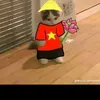 sikibidi.dopdop1