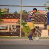 _viitinhoo_06