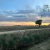 fausti_204