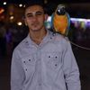user8331861425656
