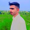 sharkamal100