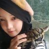 my.turtle3
